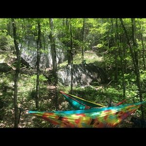 Meet your Posher, Lily